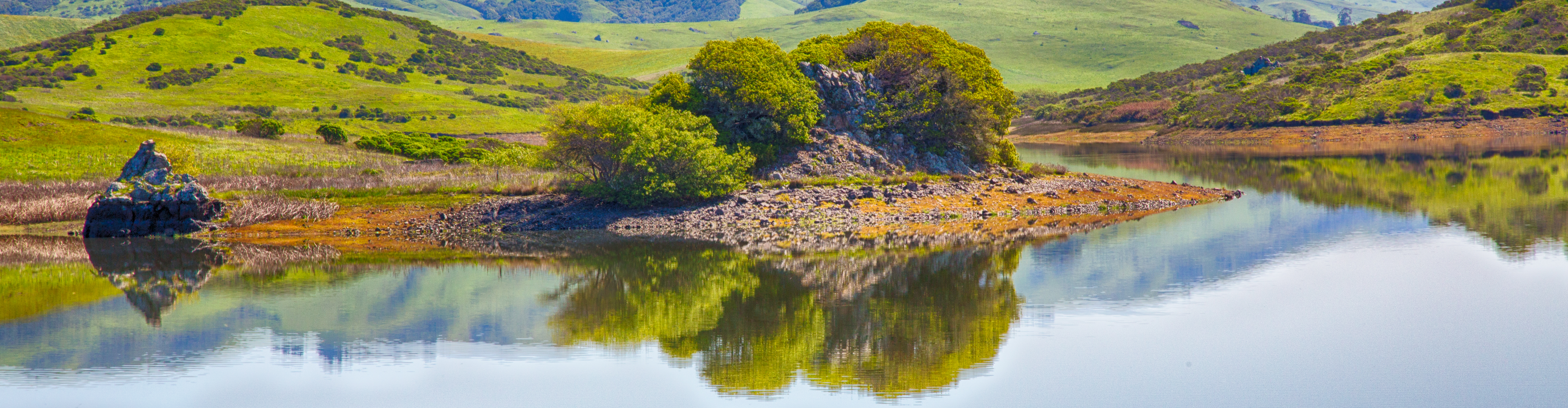 Marin Nicasio Reservoir